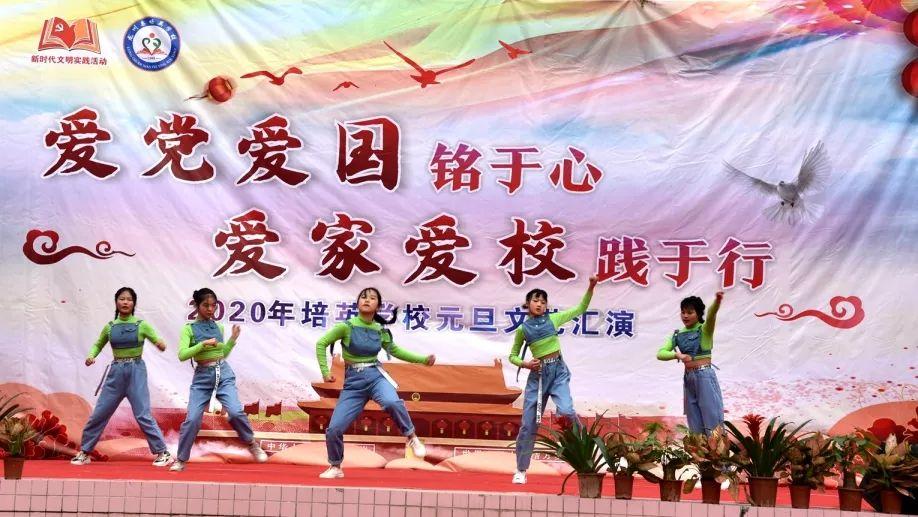 豆娃的冒险故事壹